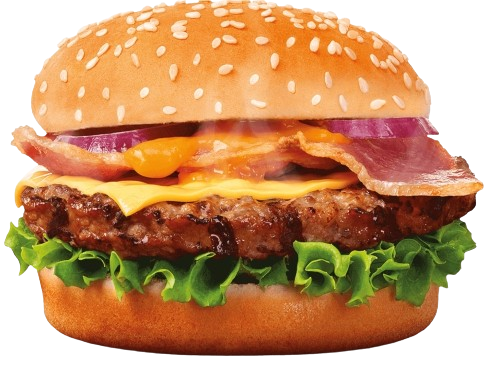 SPECIAL BURGER
